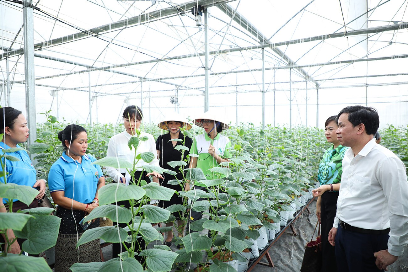 Кооператив Йен Дунг Чистый Овощ - Безопасное производство, связанное с экспериментальным туризмом