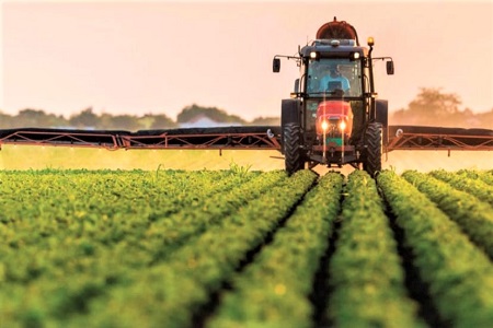 На Кубани развивают сельхозкооперацию